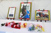 　ジェンティルドンナを偲び手向けられた花（撮影・石湯恒介）