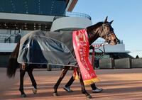 　京都２歳Ｓを制したジャスティンビスタ（撮影・石湯恒介）