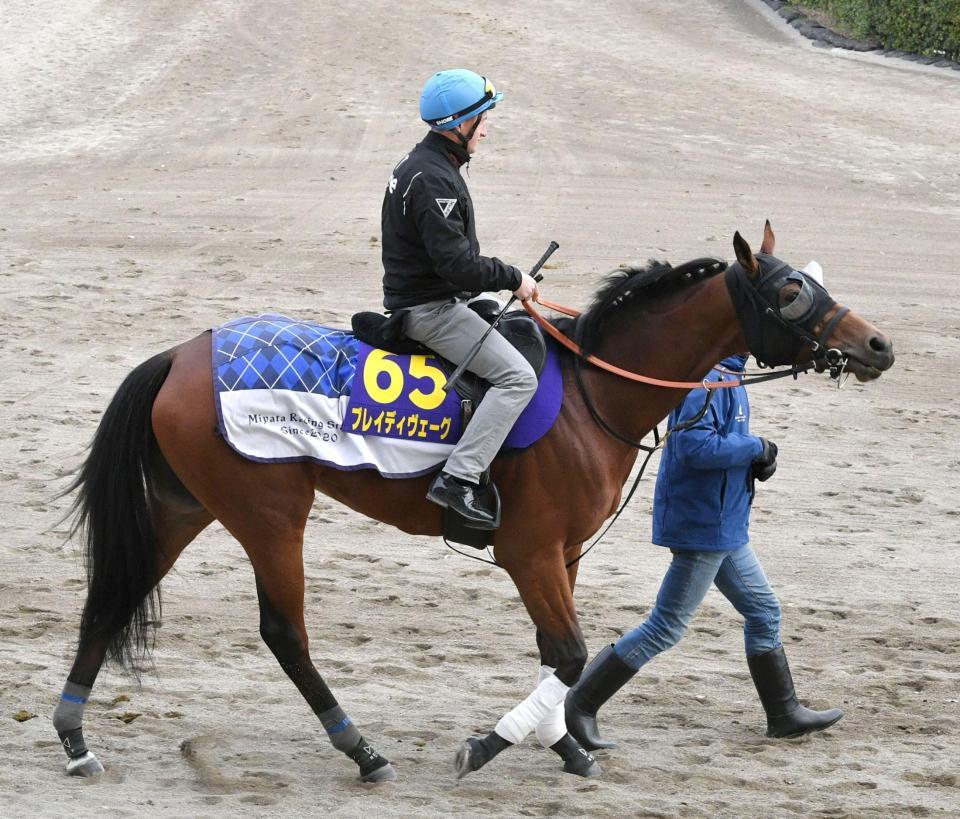 　ブレイディヴェーグ