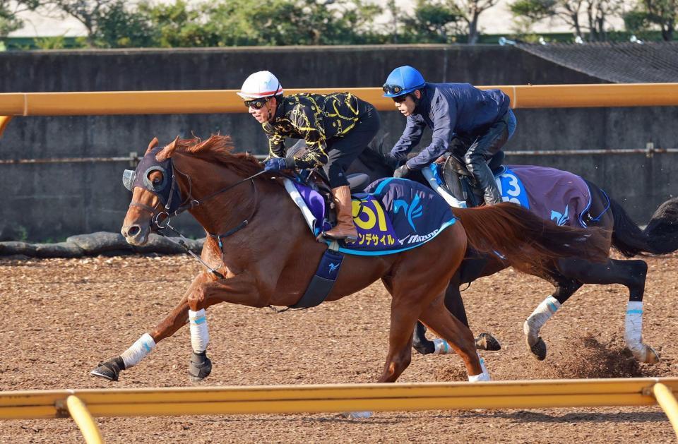 　栗東ＣＷで追い切るダノンデサイル＝２６日