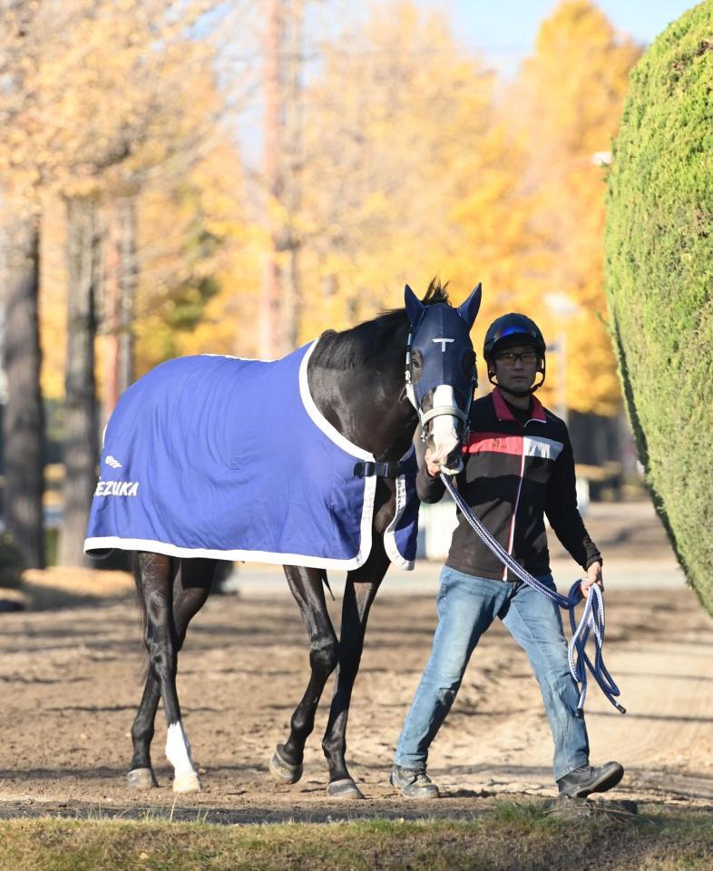 　運動をするマスカレードボール＝２７日