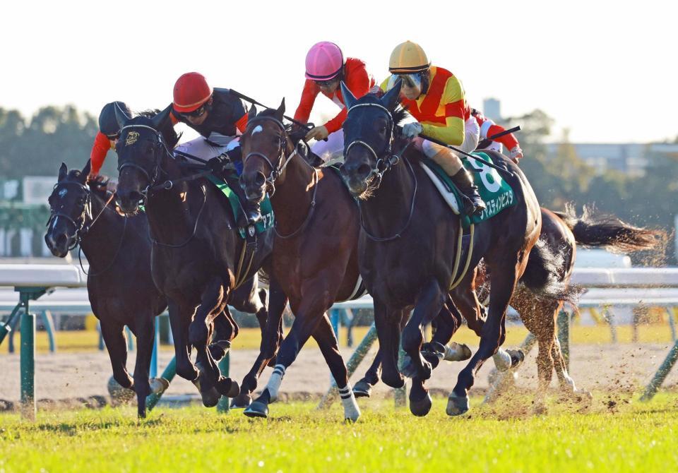 　外に出すと一気に突き抜けるジャスティンビスタ（右端）＝撮影・石湯恒介