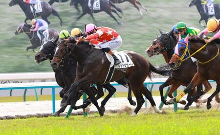 　新馬戦を快勝したレッドリガーレ（中央）＝撮影・石湯恒介