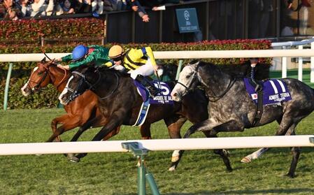 　ゴール前激しい先頭争いを繰り広げるカランダガン（左）とマスカレードボール（中）＝撮影・持木克友