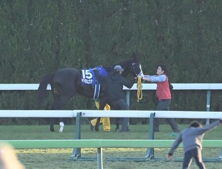 　２着に敗れたマスカレードボール（撮影・持木克友）