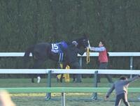 　２着に敗れたマスカレードボール（撮影・持木克友）