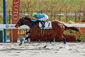 　新馬戦を快勝したバートラガッツ（撮影・石湯恒介）