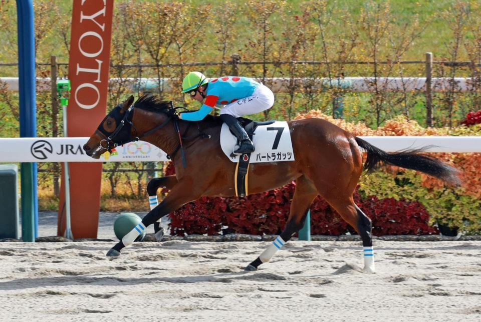 　新馬戦を快勝したバートラガッツ（撮影・石湯恒介）