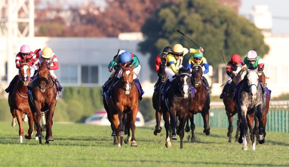 　ゴール前、激しく競りあうカランダガン（左から３頭目）とマスカレードボール（左から５頭目）。左から２頭目はダノンデサイル