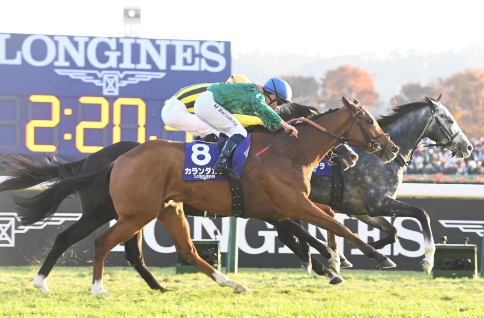 　ジャパンＣを制したカランダガン（撮影・園田高夫）