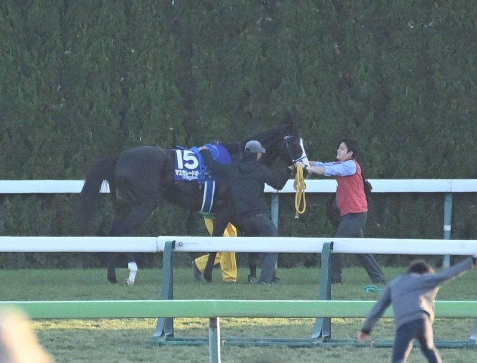 　２着に敗れたマスカレードボール（撮影・持木克友）