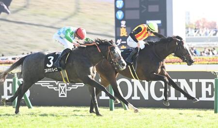 　ベゴニア賞を制したドリームコア（右）＝撮影・園田高夫