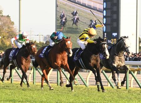 　マスカレードボールとのたたき合いを制したカランダガン（中央左）＝撮影・園田高夫