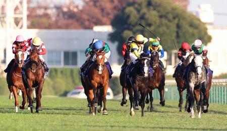 　ゴール前、激しく競り合うカランダガン（左から３頭目）とマスカレードボール（左から５頭目）。左から２頭目はダノンデサイル