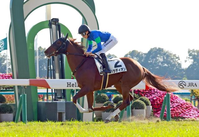 　新馬戦を快勝したパラディオン（撮影・石湯恒介）