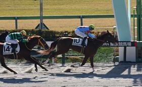 　新馬戦を制したエジプシャンマウ（撮影・持木克友）