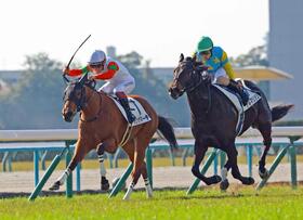 　新馬戦を快勝したオンザマーチ（左）＝撮影・石湯恒介