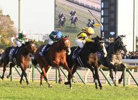 　マスカレードボールとのたたき合いを制したカランダガン（中央左）＝撮影・園田高夫