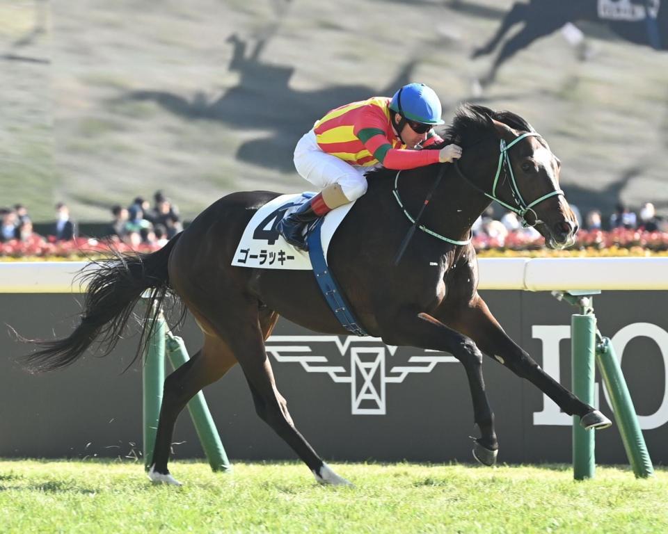 　新馬戦を勝利したゴーラッキー（撮影・園田高夫）