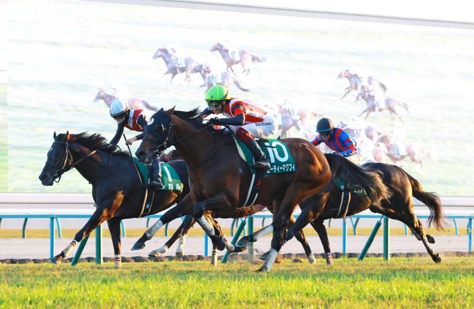 　外から差し切ったエーティーマクフィ（中央）＝撮影・石湯恒介