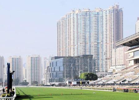 【香港国際競走】ベラジオオペラは仕上がり十分 ロードデルレイは手応え十分 ともに国内最終追い切り