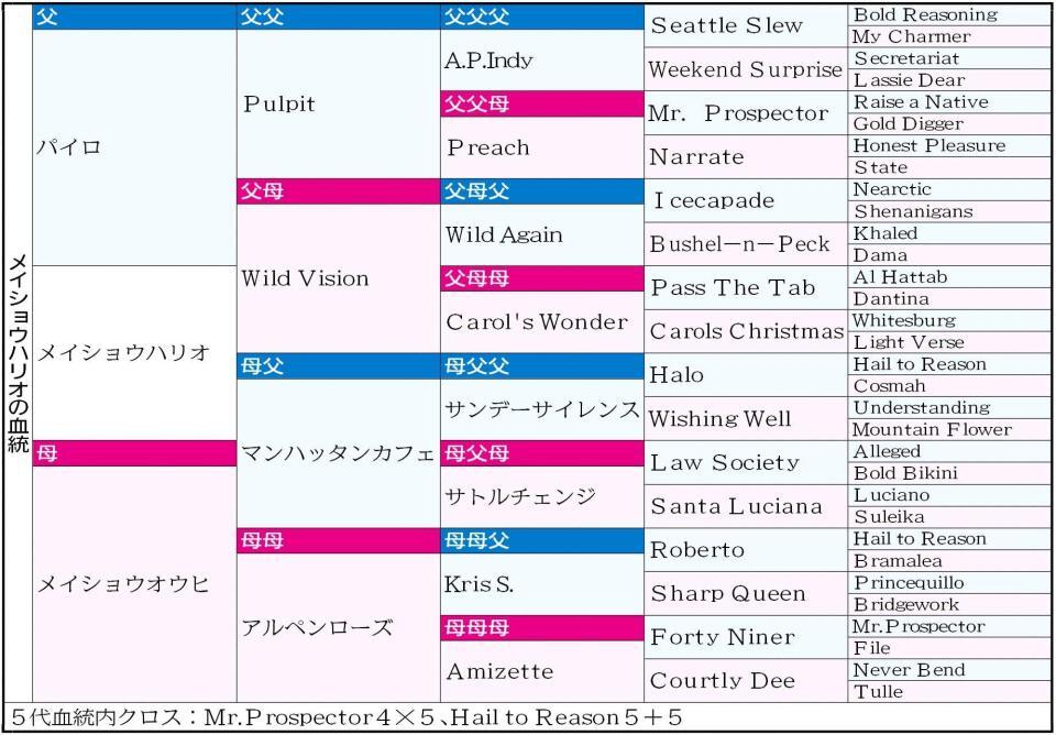 　メイショウハリオ５代血統表