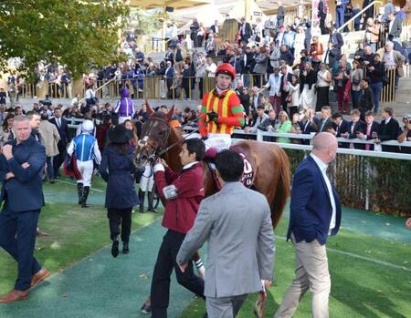 　凱旋門賞で５着だったビザンチンドリーム＝１０月５日