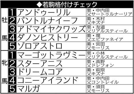 　若駒格付けランキング