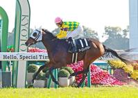 　１１月３０日　白菊賞を制したマーゴットラヴミー