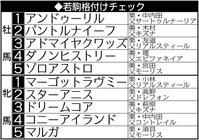 　若駒格付けランキング