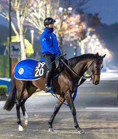 　初陣Ｖを狙う良血馬イベントホライゾン