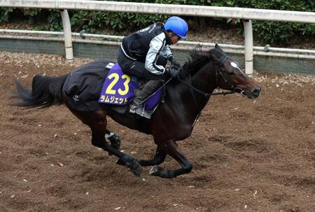 【チャンピオンズＣ】ラムジェット　アクション力強く登坂　佐々木師も期待「上積みがありいい状態」