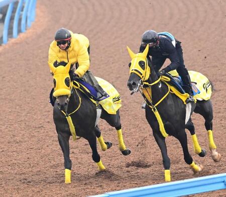 【チャンピオンズＣ】ウィルソンテソーロ　追われてグイッと鋭伸　高木師「状態も上がってきている」巻き返しに前向き