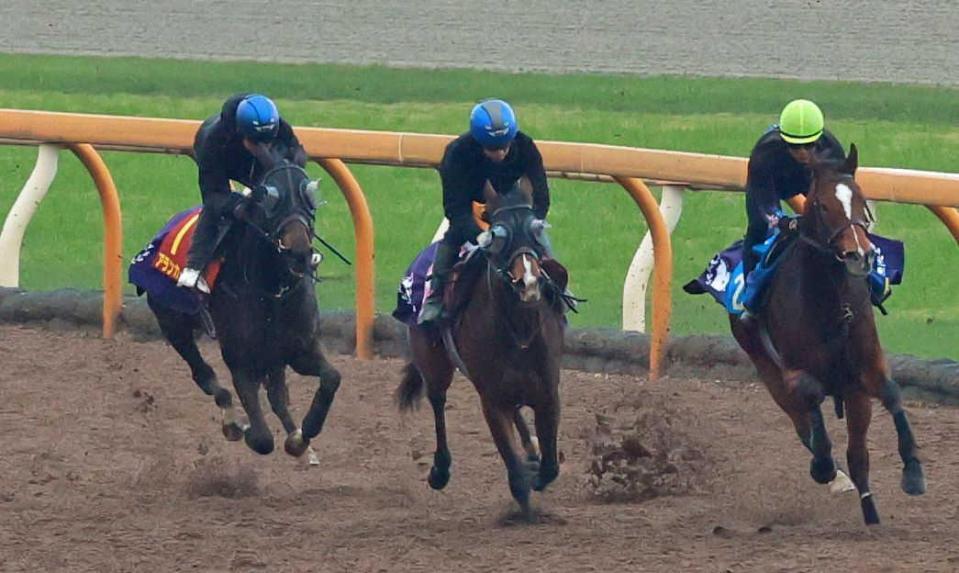 　北村友を背に栗東ＣＷで３頭併せを行い、力強い脚さばきを見せたアランカール（左）