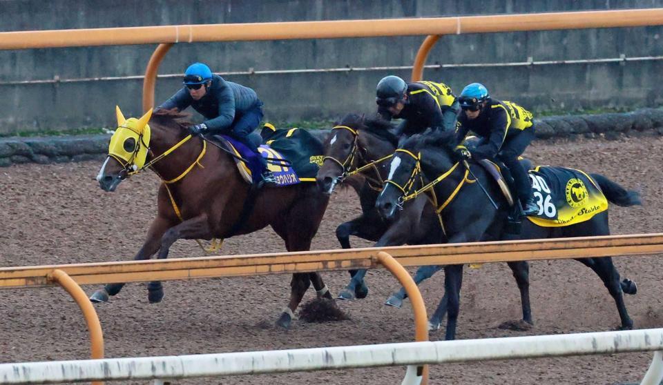 チャンピオンズC】メイショウハリオ 電撃発表！今回でラストラン 栗東