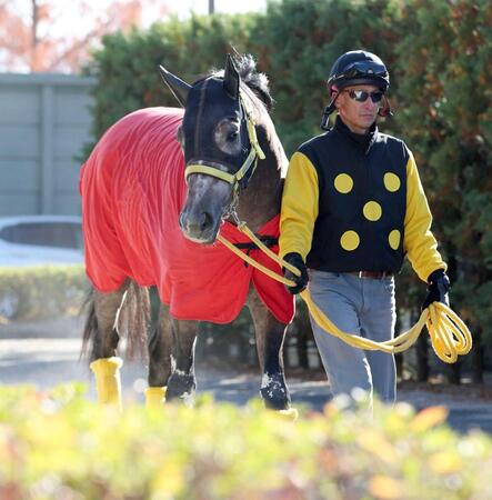 　厩舎ゆかりの血統馬エルハーベン（撮影・中田匡峻）