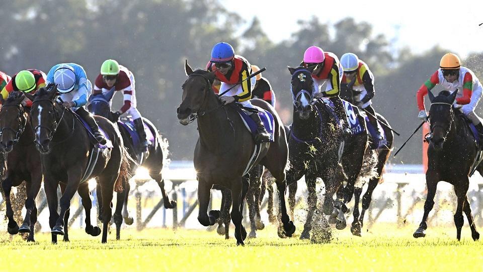 　エリザベス女王杯を制したレガレイラ（中央）＝１１月１６日