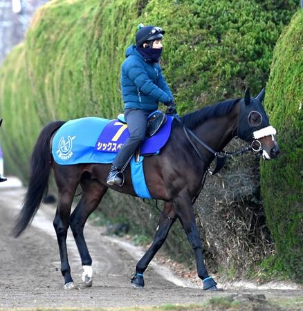 【チャンピオンズＣ】シックスペンス　砂２戦目で戴冠へ　国枝師「いい感じ。気合も乗っているね」あとはルメールに託す
