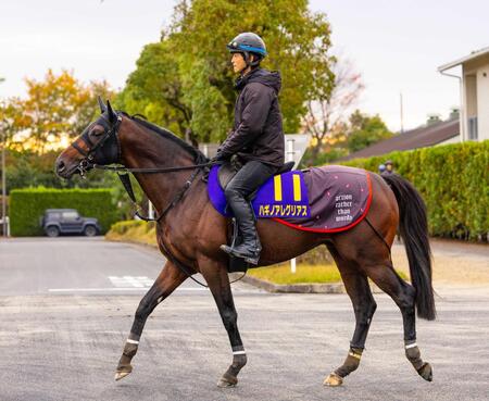 　ハギノアレグリアス