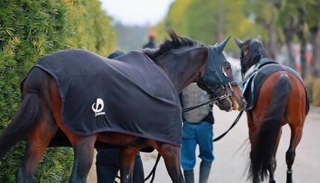 　復活の一撃を見舞いたいラムジェット