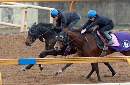 栗東ＣＷで１週前追い切りを行うアランカール（左）
