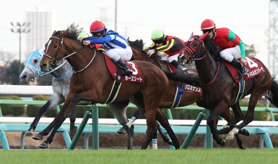 　好位から抜け出すホーエリート（左手前）。右はマイネルカンパーナ