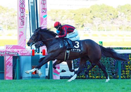 　フォーゲル（撮影・石湯恒介）