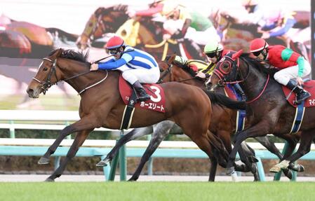【ステイヤーズS】ホーエリート10度目重賞挑戦で悲願達成 史上2頭目牝馬Vの快挙 戸崎圭「反応良く伸びてくれた」