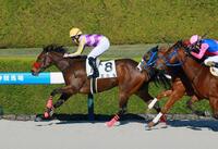 　新馬戦を快勝したエルル（撮影・石湯恒介）