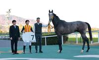 　新馬戦を快勝したエルハーベン（撮影・石湯恒介）