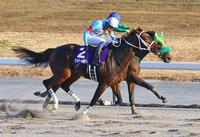 　チャンピオンズＣを制した坂井騎乗のダブルハートボンド（手前）