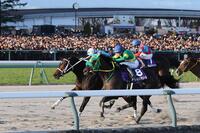 　チャンピオンズＣを制した坂井騎乗のダブルハートボンド（左）