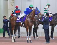 　１番人気で１３着に終わり引き揚げる戸崎圭騎乗のナルカミ