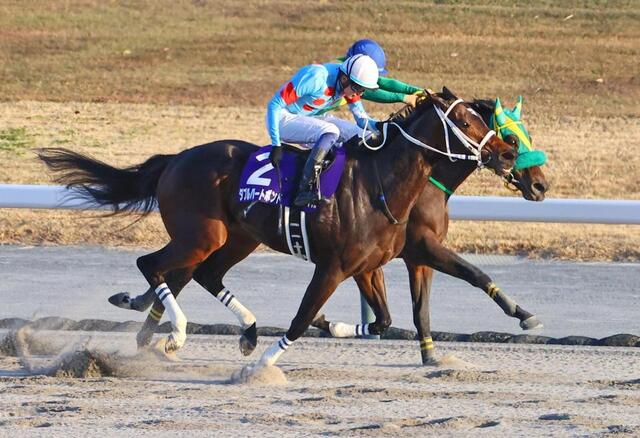 チャンピオンズC】3番人気ダブルハートボンドがG1初制覇！10年